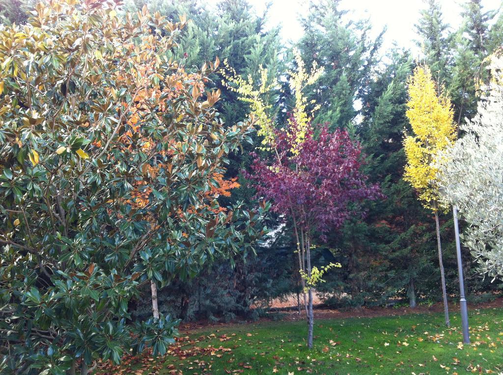 Villa La Alberca Palencia Esterno foto